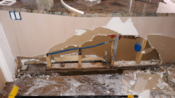 Best Sewage cleanup and water damage restoration  in Evendale, OH