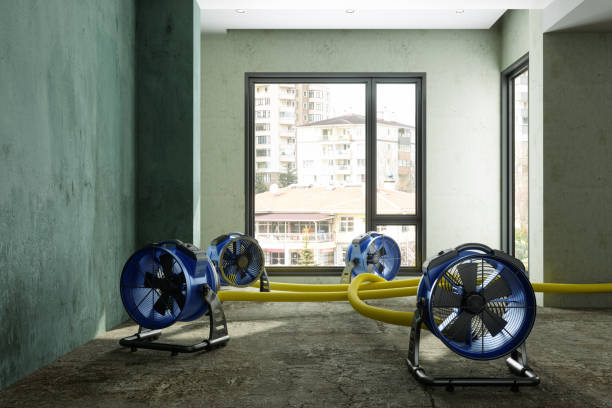 Best Emergency water damage restoration  in Evendale, OH
