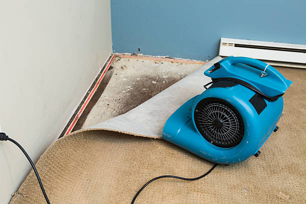 Best Commercial water damage restoration  in Evendale, OH